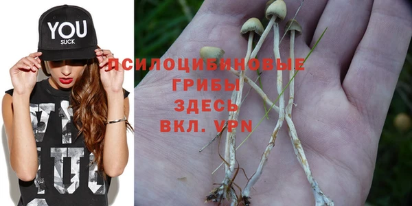 спиды Балабаново